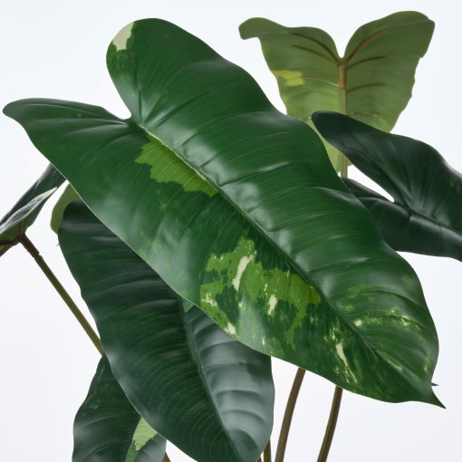 FEJKA, artificial potted plant in/outdoor/Philodendron, 15 cm, 906.008.56