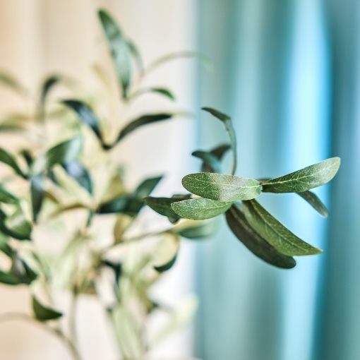 SMYCKA, artificial flower in/outdoor/olive branch, 75 cm, 906.059.72