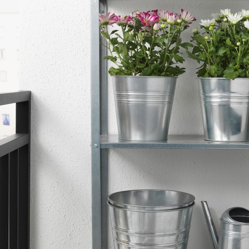 CHRYSANTHEMUM, φυτό σε γλάστρα/Χρυσάνθεμο, 15 cm, 906.127.60