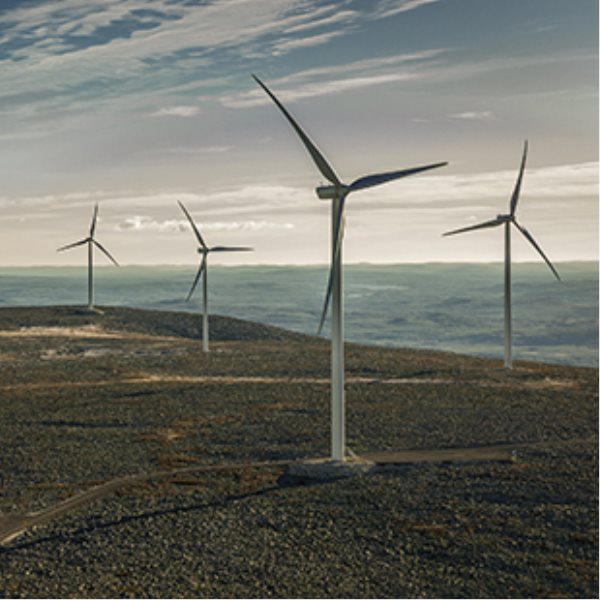 Κλιματική δράση