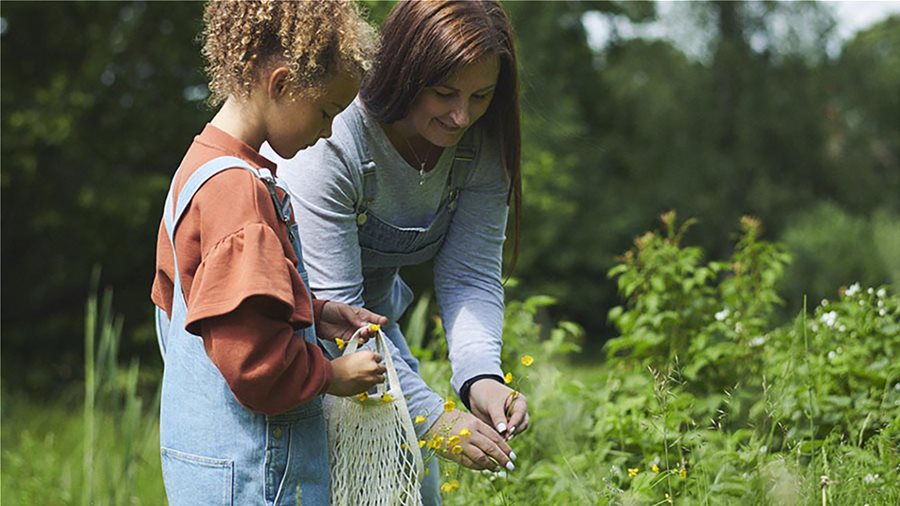 Βιωσιμότητα ΙΚΕΑ