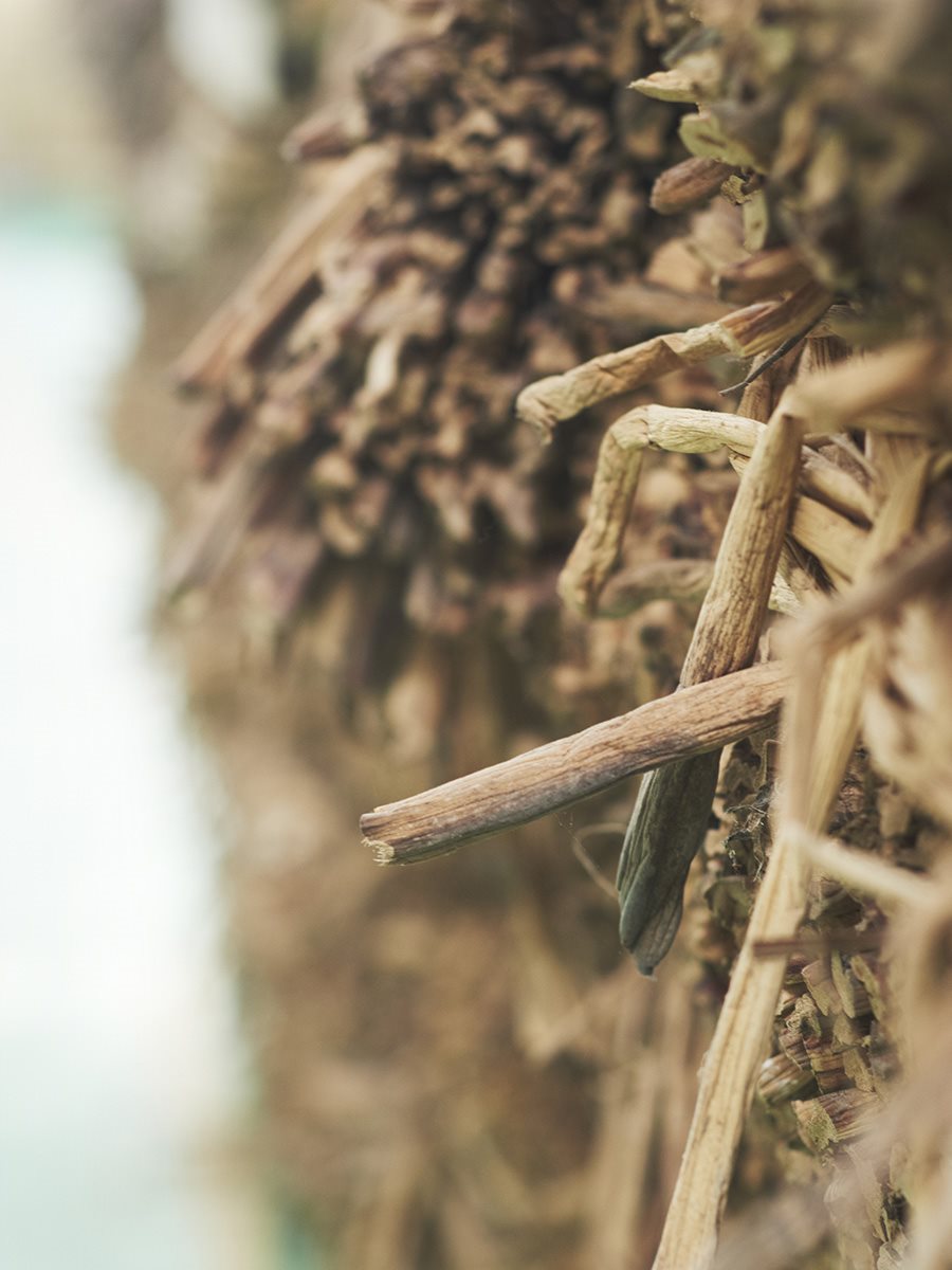 Επίσκεψη στο Βιετνάμ