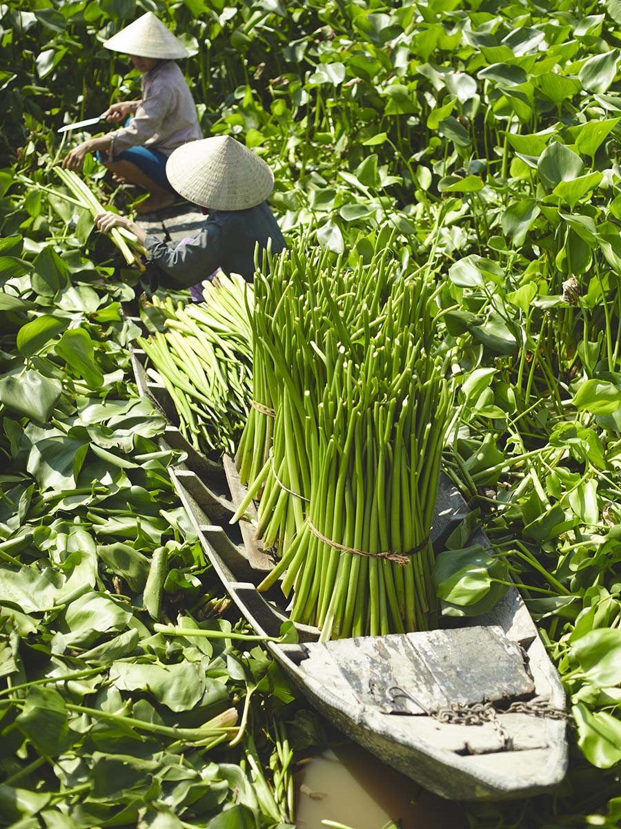 Γυναίκες που δουλεύουν μαζί