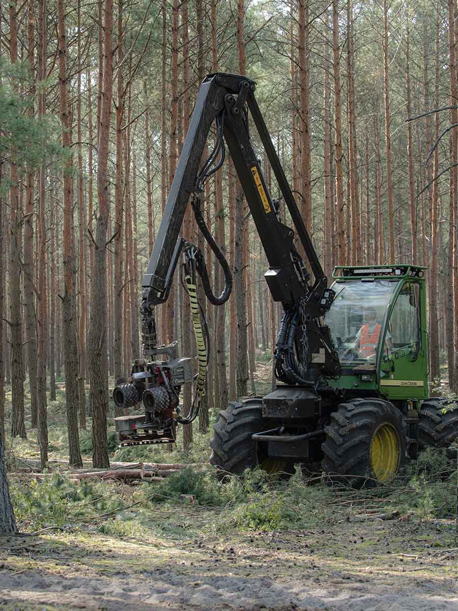Το 97,8% του ξύλου που χρησιμοποιείται για τα προϊόντα ΙΚΕΑ είτε φέρει την πιστοποίηση του Συμβουλίου Διαχείρισης των Δασών (Forest Stewardship Council® - FSC®) είτε είναι ανακυκλωμένο.