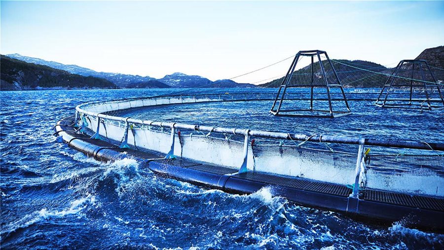 Βιώσιμη προμήθεια