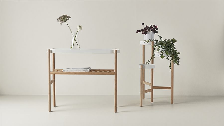 Το μπαμπού: