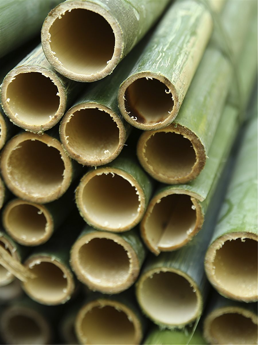 Πράσινο από κάθε άποψη