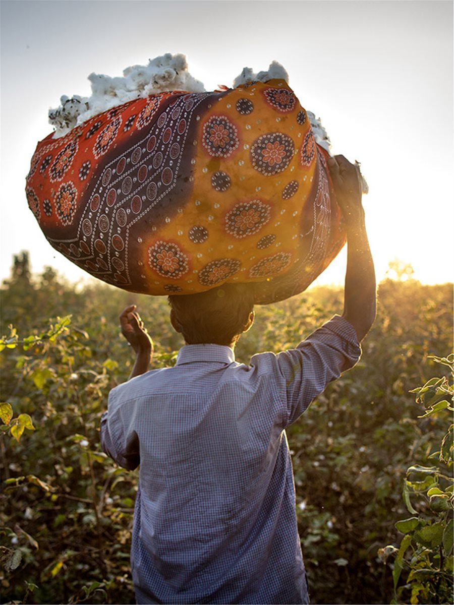 Προσπαθούμε να κάνουμε το υπεύθυνο βαμβάκι κανόνα