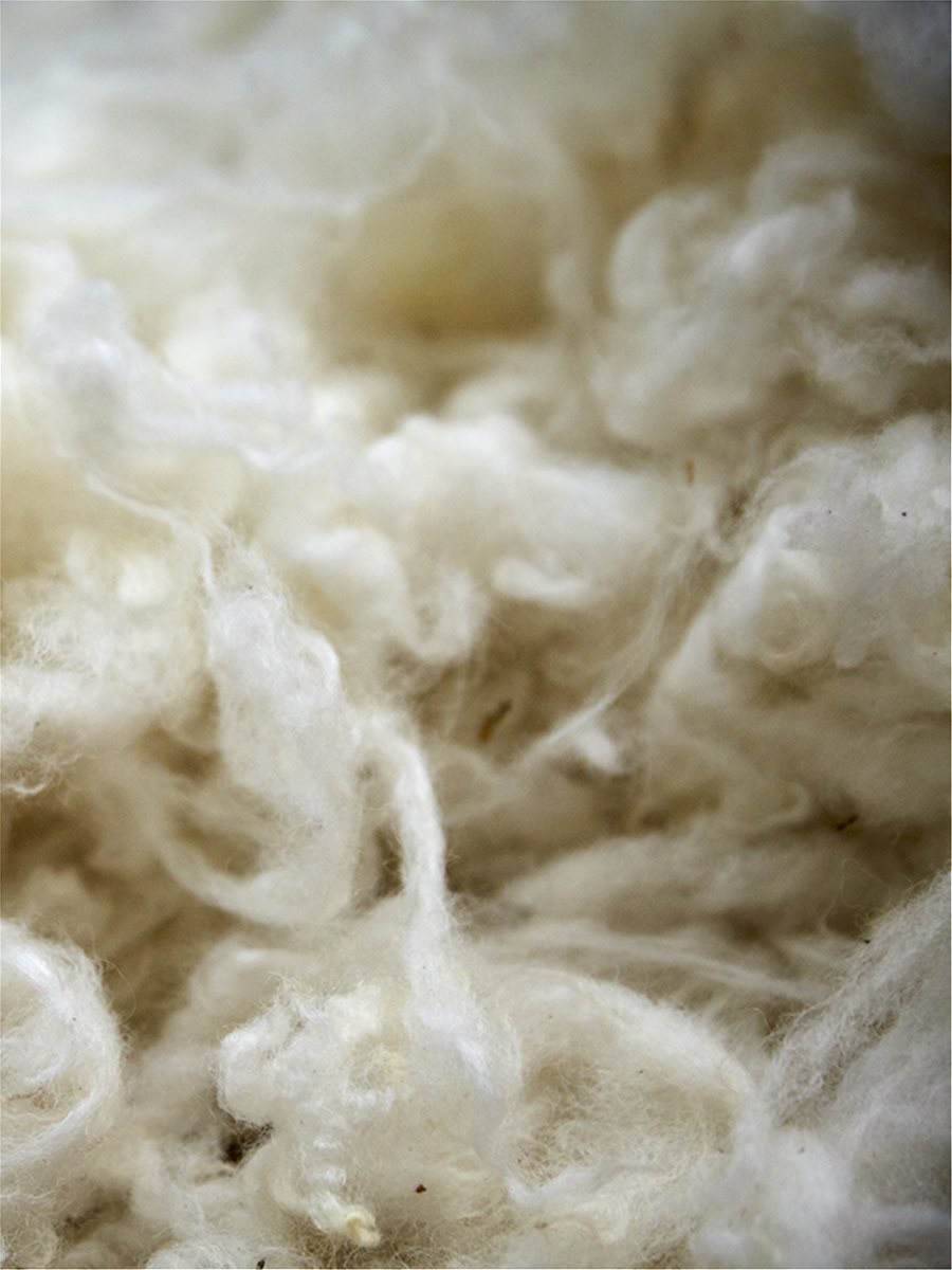 Υπεύθυνη παραγωγή μαλλιού διαθέσιμη για όλους