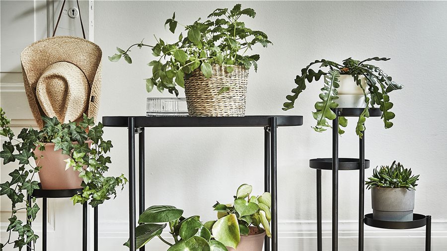 Βάλτε το πράσινο στη ζωή σας